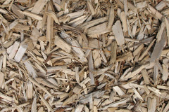 biomass boilers Rolstone